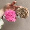 Cartoon dolls, plush toy pendants, toy backpacks, mobile phone keychains, pendants, 10cm hedgehog in a prone position, hedgehog bestsellers, long-haired hedgehogs, 4-color cute hedgehog pendants, keychains, customizable Application Scenario